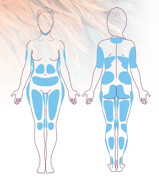 Beautygel Slim - Бьютигель Слим